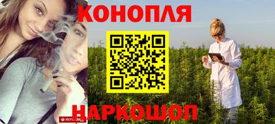 PSILOCYBIN Кулебаки