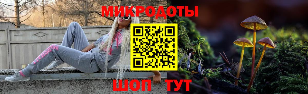 Галлюциногенные грибы мицелий  Галлюциногенные грибы Cubensis  Шебекино  Вход с VPN 