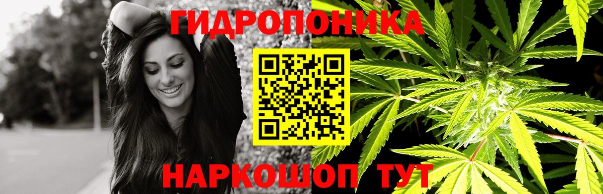 Бошки Шишки гибрид  Вход с VPN  Шебекино  Марихуана ГИДРОПОН 
